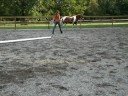 How NOT to sell a horse!