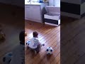 [サッカー]わずか１歳半ながらもオランダ１部のクラブと契約させた赤ちゃんのプレー動画。のサムネイル