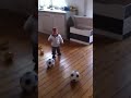 [サッカー]わずか１歳半ながらもオランダ１部のクラブと契約させた赤ちゃんのプレー動画。のサムネイル2