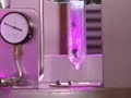 An unsilvered dewar flask of boiling liquid oxygen containing a crystal of silicon (top), a gaas crystal, a British 5 pence coin, a lead musket ball and a gold sovereign coin (bottom) is lowered over a high powered superconducting magnet. Since oxygen is paramagnetic, it is strongly pulled toward the bottom of the flask, giving it a higher apparent density than normal, levitating even the densest metals. Note the rapid boiling of the oxygen as it is raised from the top of the magnet. The boiling front remains fixed at a constant height above the top plate of the magnet as the dewar vessel is raised and lowered, suggesting that the boiling condition is a function of magnetic field. The enhanced pressure on the liquid oxygen while it is in the magnetic field likely temporarily raises its boiling point and allows the temperature to slightly increase, then, when it is removed from the field the bp returns to normal and boiling proceeds rapidly to lower the temperature back to the normal bp at 1 atmosphere of pressure. See: Cryogenically enhanced magneto-Archimedes levitation AT Catherall, P López-Alcaraz, KA Benedict, PJ King and L Eaves