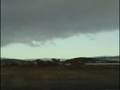 videos de Walrussen op Spitsbergen