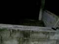 Pré-História