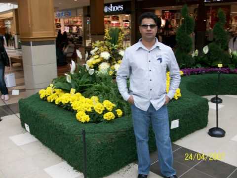 traale punjabiyan de