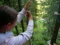 acrobranche,saut de tarzan