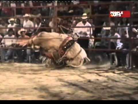 VIDEO ACCIDENTE RODEOS video accidente rodeos: