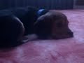 telekinese