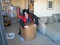 Adventures of Fox and Box III
