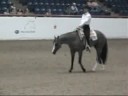 Bridleless WP