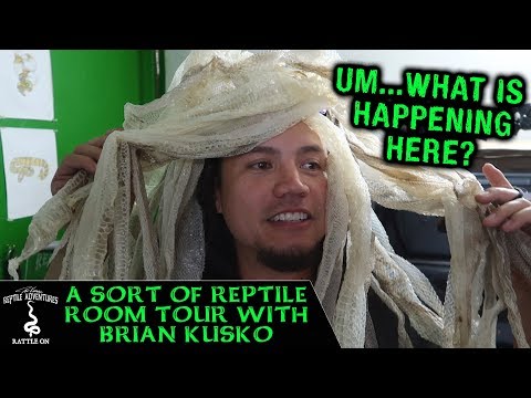 YouTube reptile video
