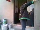Saboia dancing I