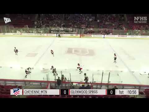 CHASS 4A Ice Hockey Championships - Kale Tibbetts (D), #25 Solid Shift