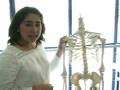 Laboratorio de Kinesiologí­a del Campus Cumming de la USS