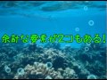 余計な要素が2コもある! 第十一要素 『深海にある伝説』 深海伝説