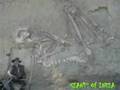 GIANT of INDIA