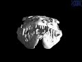Lizard skull CT scan fly-through