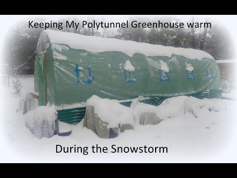 The Historic Snow Storm – Lake Mary Gardens