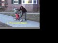 Gyrobike, the invent, a new idea for ride in bike