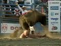 Dodge Xtreme Bulls (Cody, Wyoming) Dodge Xtreme Bulls (Cody, Wyoming)