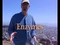 Protein Functions in the Body