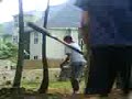 Back yard wiffle ball