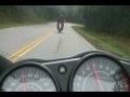 650R Budda Boyz ride The Cherohala 6