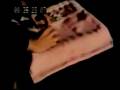 videos de Aktenzeichen XY 9/9/77 Teil 4/6