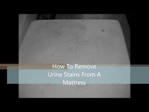 how to remove urine stains from a mattress