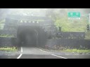 200806 南橫毛地黃 19 人 18 台車
