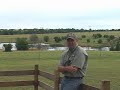Dog Bytes 2