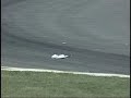 indycar hits bird