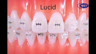 video thumbnail LUCID (Resin Bracket) youtube