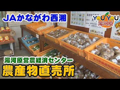 <br />
<b>Warning</b>:  Undefined property: Custom_Field_Suite::$get in <b>/home/xb588889/ikctv.com/public_html/main/wp-content/themes/IKCTV_Theme/parts/parts-archivecard_movie.php</b> on line <b>7</b><br />
<br />
<b>Warning</b>:  Trying to access array offset on null in <b>/home/xb588889/ikctv.com/public_html/main/wp-content/themes/IKCTV_Theme/parts/parts-archivecard_movie.php</b> on line <b>7</b><br />
