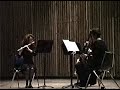 university of akron student flute/clarinet/bassoon wind trio playing walter piston's three pieces. 

lisa thomas, flute
heidi aufdenkamp, clarinet
palmer shepherd, bassoon