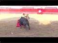 videos de El Juli na Ilha Terceira