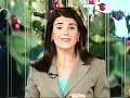 Mistério em Santa Rita de Caldas, mais de 100 cachorros desaparecidos do canil
