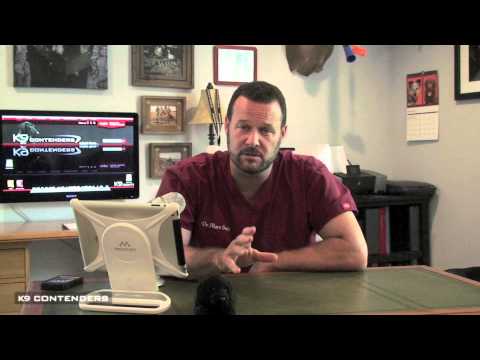 how to get rid of shih-tzu eye boogers