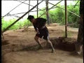 totally insane chinese martial arts demonstration