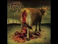 Cattle Decapitation - Bukkake Tsunami