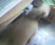 Pinoy Big Brother
