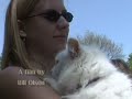Animal Blessings, Part 1 of 2