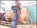 videos de Bandon Orca 4 U-Tube