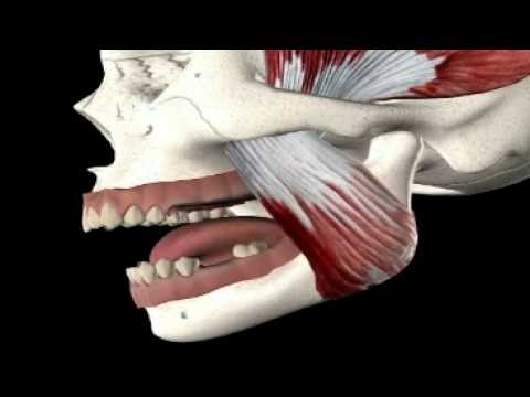 how to help jaw pain