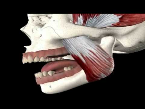 how to treat jaw pain