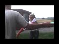 swaffel games 2 swaffel games 2