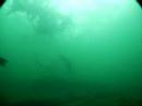 British Columbia Video
