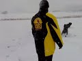 Yoda en Kenzie in de sneeuw