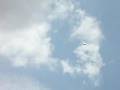 RC Aerodyne Final Flight