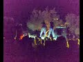AMBRA NIGHT DISCO GARDEN 2008 AGOSTO SAN TEODORO SARDEGNA