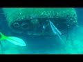 Hilma Hooker Dive Site Bonaire