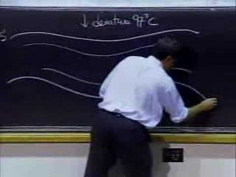 Lec 18 | MIT 7.012 Introduction to Biology, Fall 2004